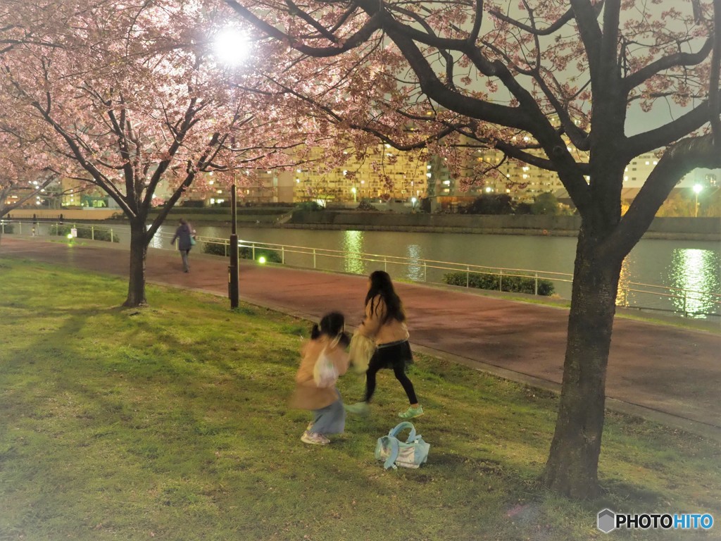 オオカン夜咲くら～ⅱ