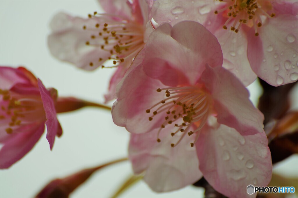 5年前の雨上がり～ⅲ