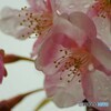 5年前の雨上がり～ⅲ