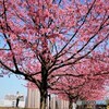 隅田川遊歩道