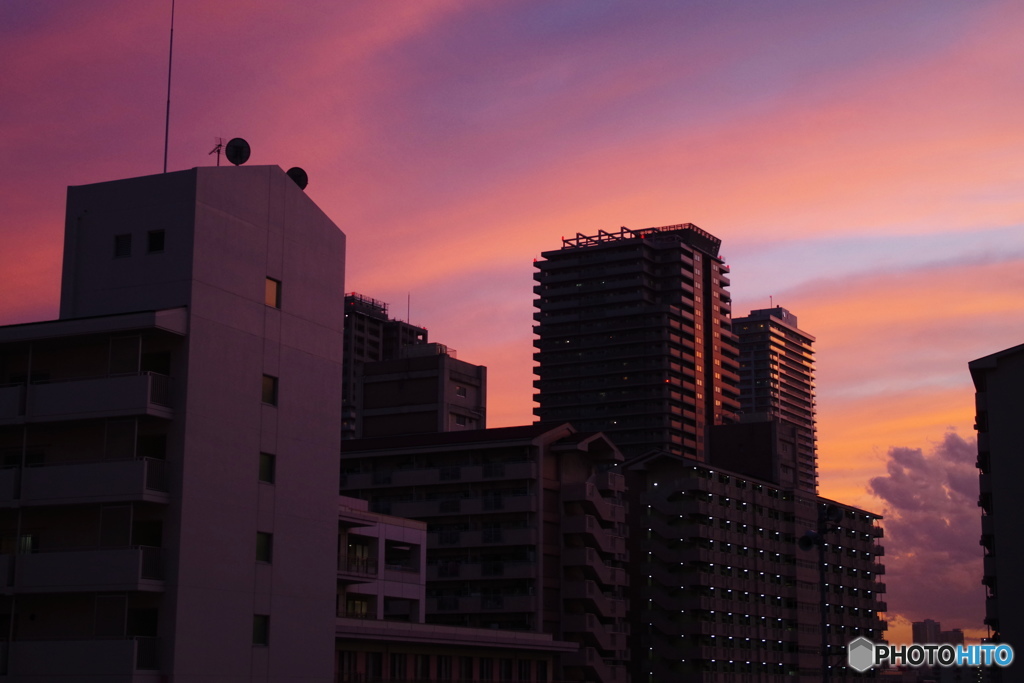 昨夕の汐入の茜