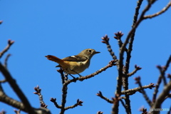 いらっしゃ～い