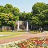 滝、大噴水