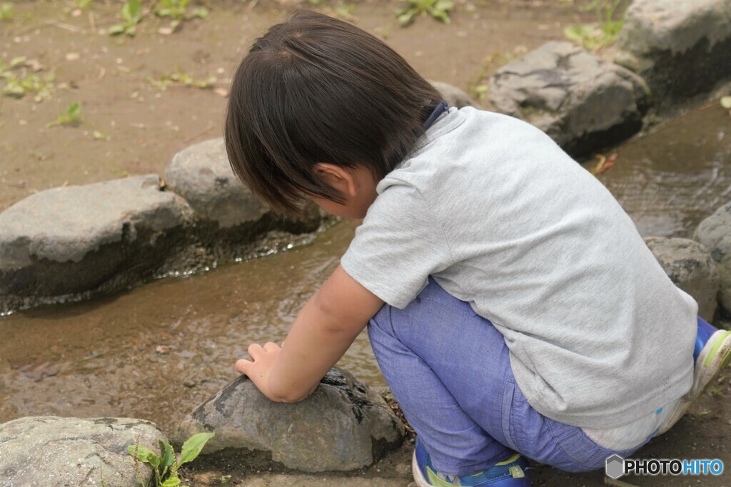 何かいないかな～、、、？？