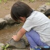 何かいないかな～、、、？？