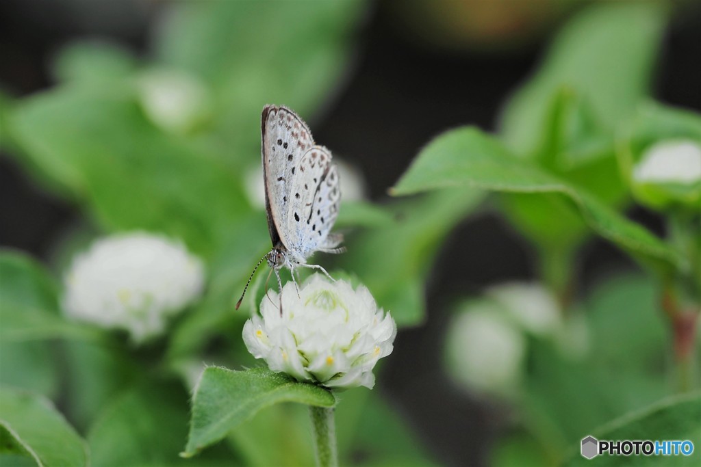 白いテーブル、、、。