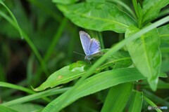 雨が止んで～ⅶ