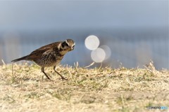 何か光った～、、、？？