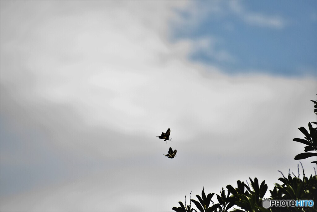 晩夏のＬＯＶＥⅡ