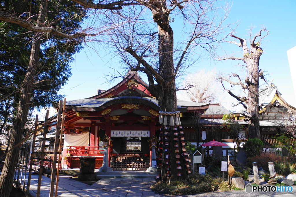 素戔嗚神社