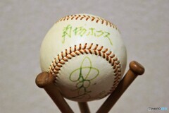 野に咲く月見草、、、。