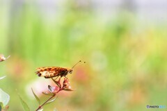 晴れ間に