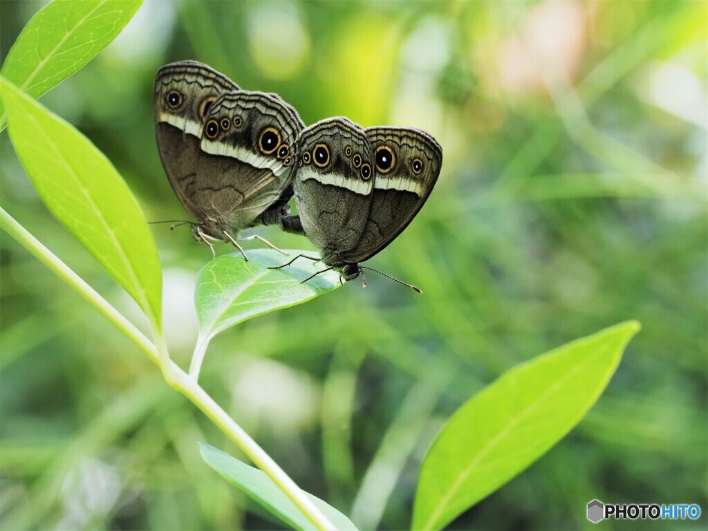 生物園２０２２～ⅳ