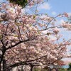 君の名は～ⅲ