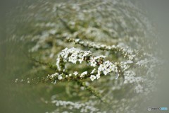 雪嵐、、、。