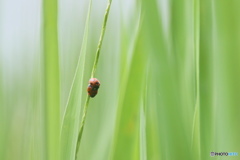 無理したら落ちちゃうよ～、、、。