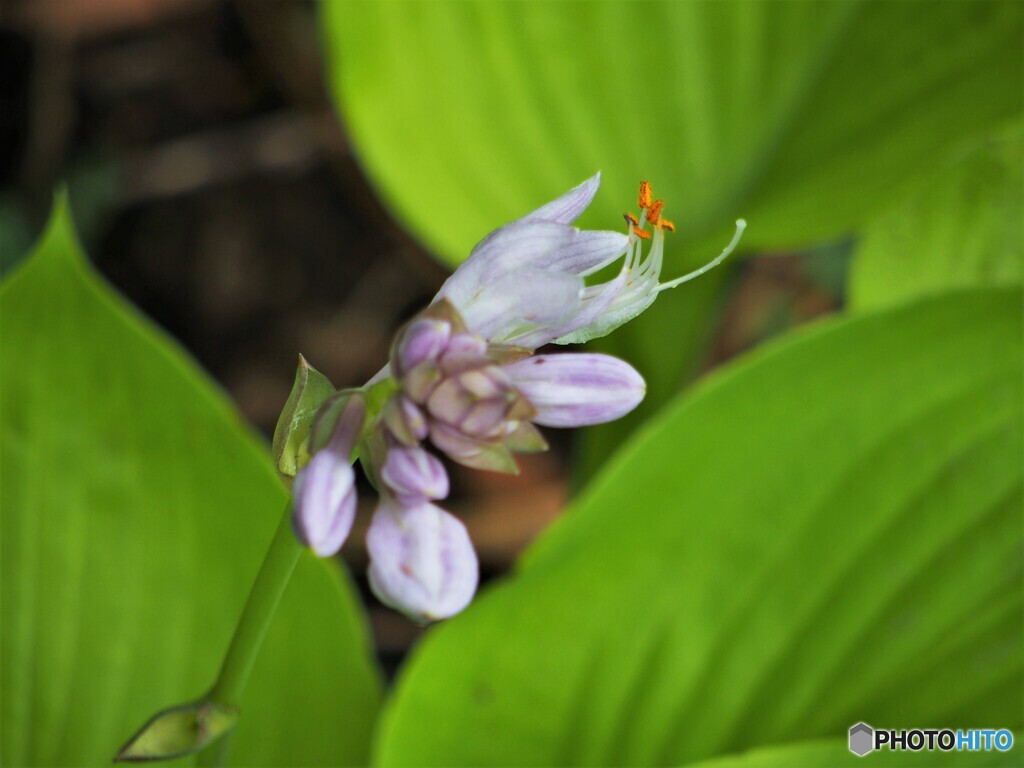 冷静