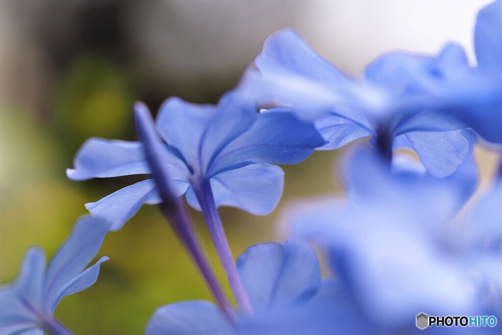 ひそかな情熱～ⅱ