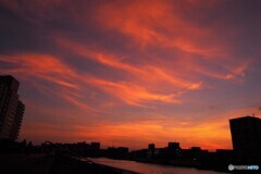 今夜の隅田川夕焼け～Ⅲ