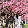 自撮り女子