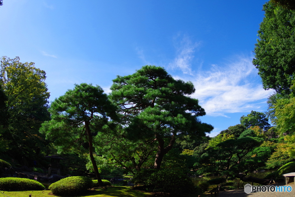 奥の院より