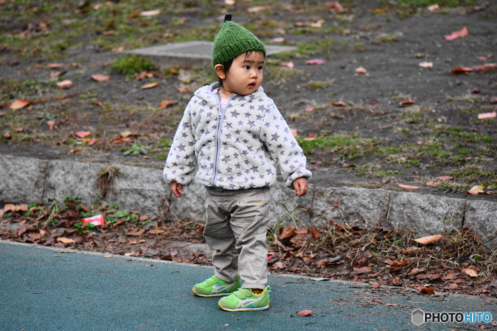 それぞれの秋ー13