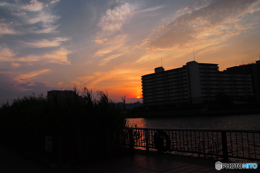 隅田川の夕日