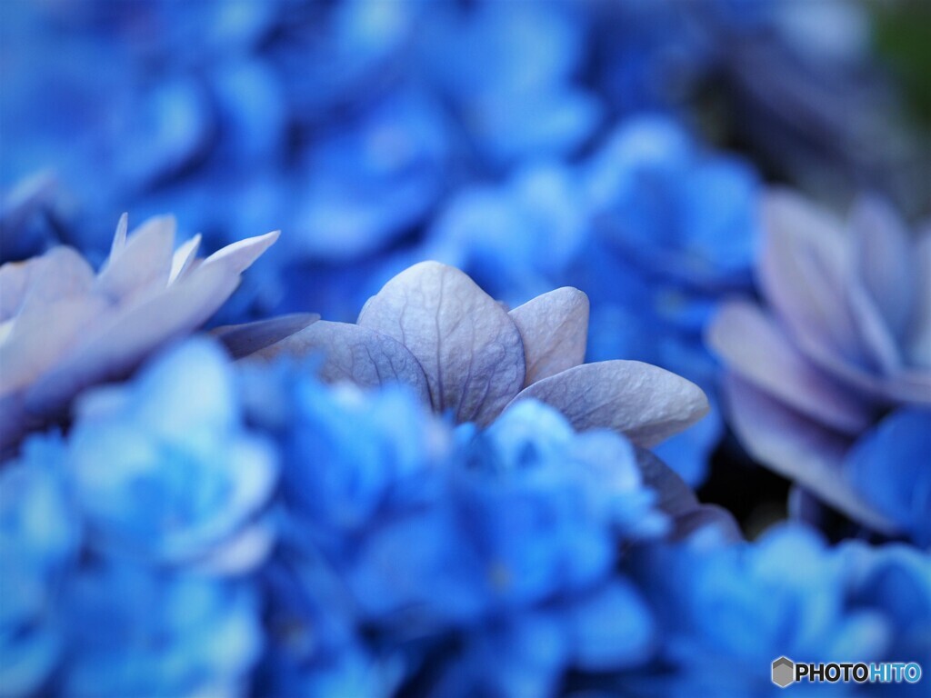 水色のウェーブ
