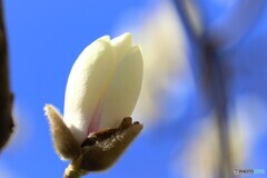 自然への愛～ⅲ