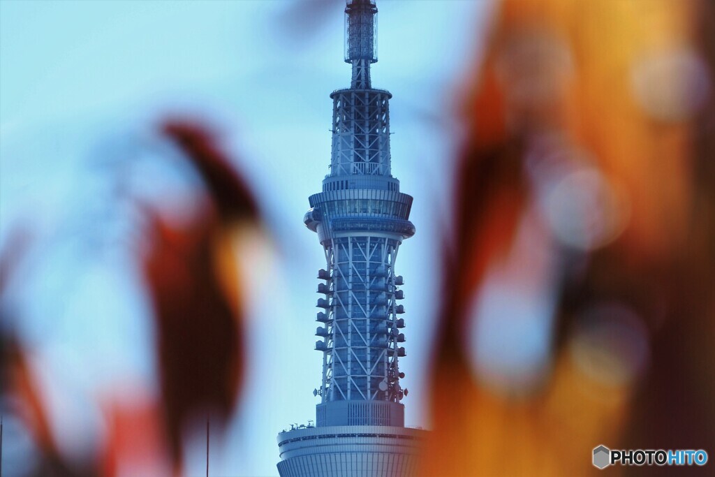 垣間見る