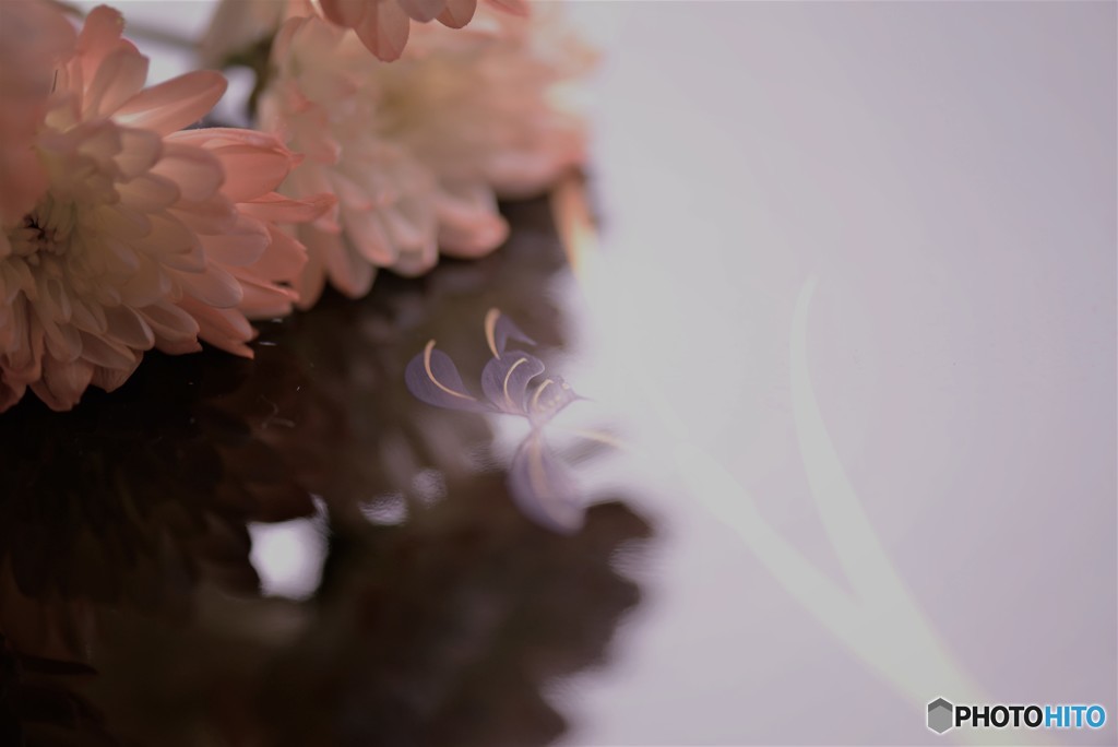 窓際で～Ⅱ