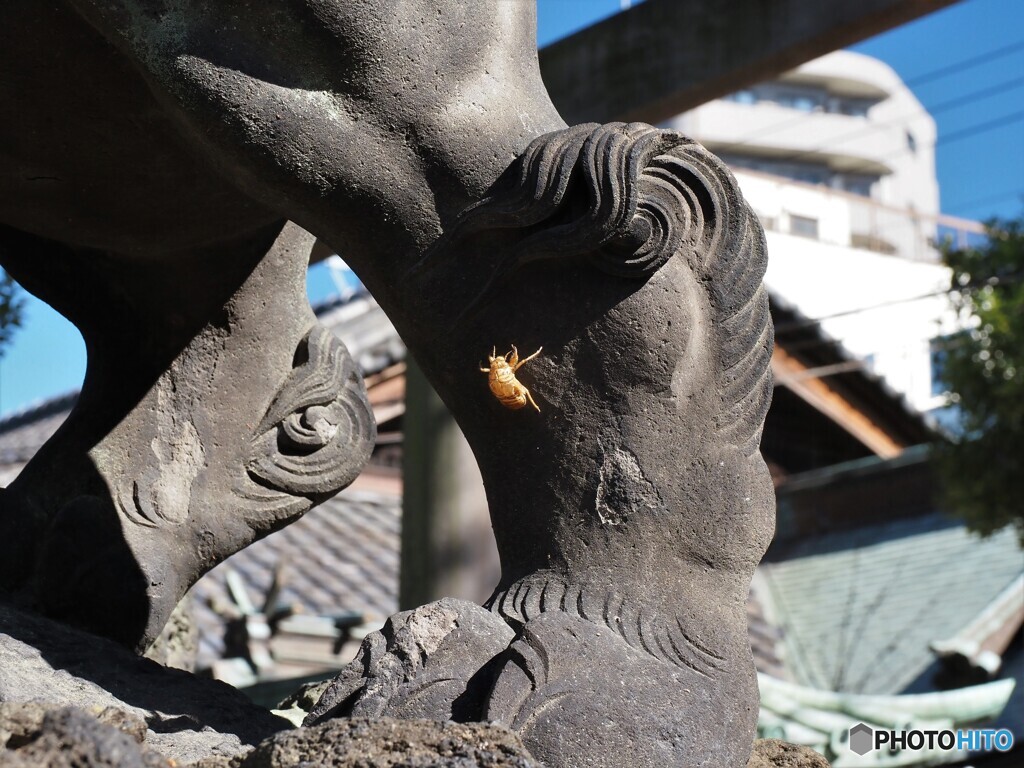 隅田公園と牛嶋神社～ⅲ