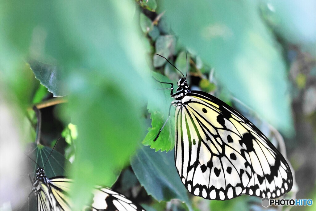 ２０２３生物園～ⅷ