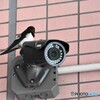 初夏の使者