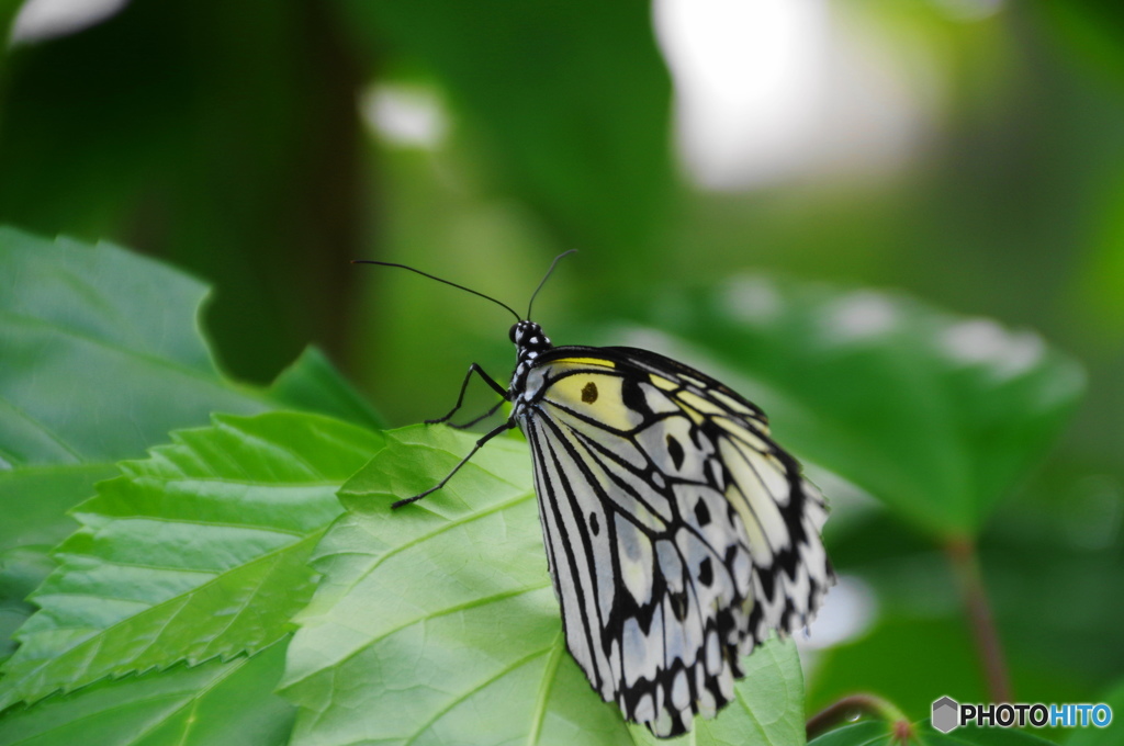 生物園ー１