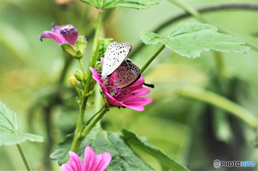 仲良くしましょ、、、。
