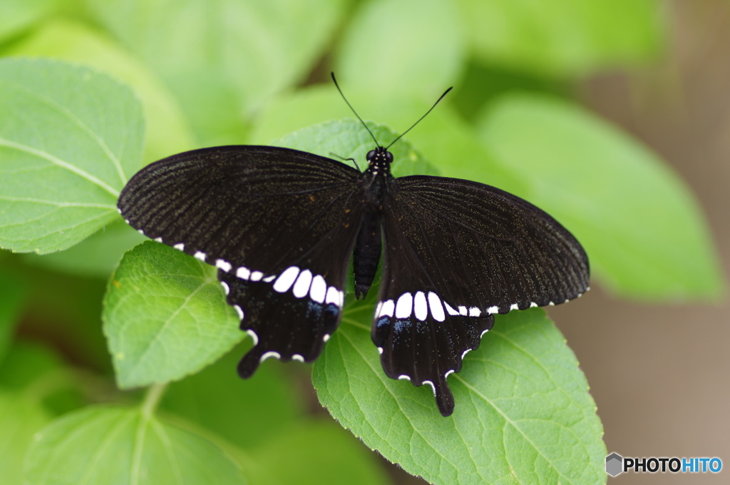 生物園ー14