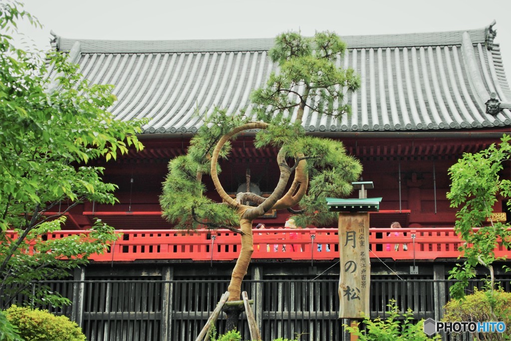 寛永寺清水堂ⅱ