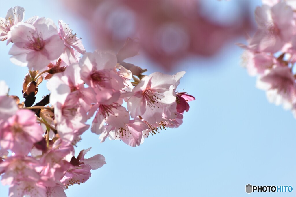 ５年前の２月末～ⅲ