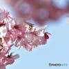 ５年前の２月末～ⅲ