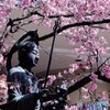 安行桜～ⅳ