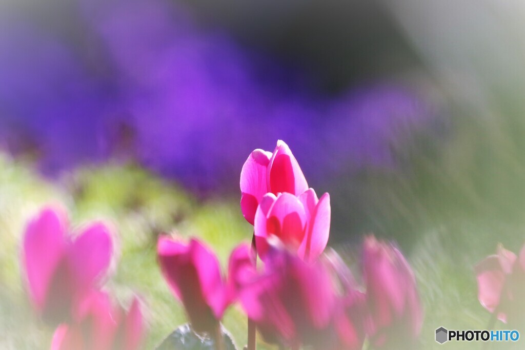 はにかみ～Ⅱ
