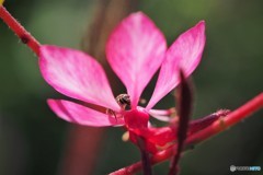 まだ居るよ～、、、ⅲ