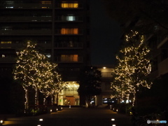 お帰りなさい、、、。