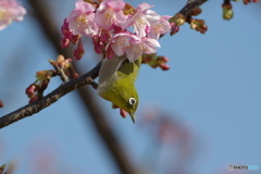 誘惑されし者ー②