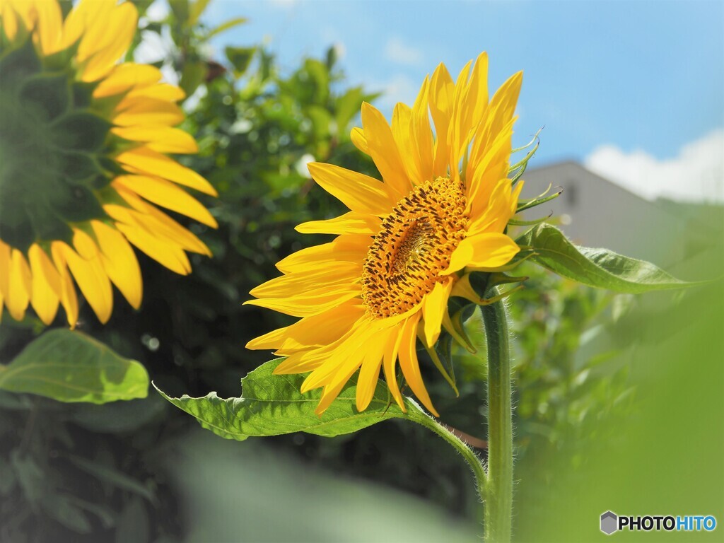 夏本番～ⅱ