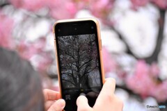 スマホでパチリ