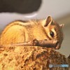 生物園２０１８ⅹ