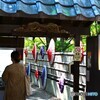 ダリア綾なす秋の園～ⅰ