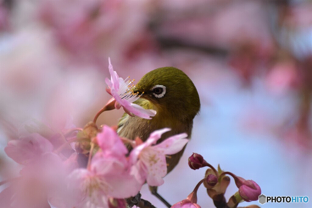 ５年前の２月末
